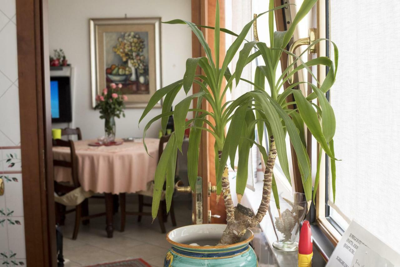 B&B Silvana Salernes Extérieur photo